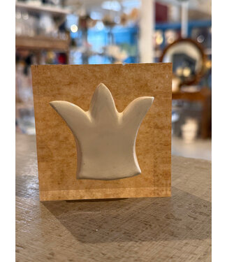 Bradley Alpaugh Friedrichs Acrylic Block Crown