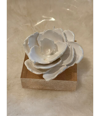 Bradley Alpaugh Friedrichs Acrylic Block White Flower