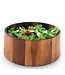 Tulip Shape Acacia Wood Salad Bowl Large