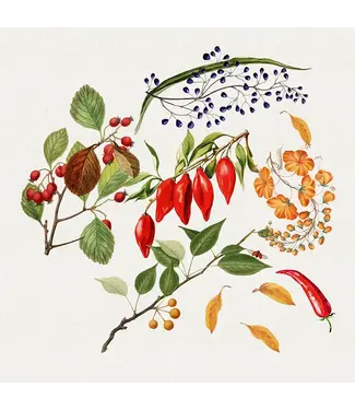 Garnier Thiebaut Piments Doux Caliente Napkin