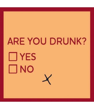 Drinks on Me Coasters Are You Drunk Coaster