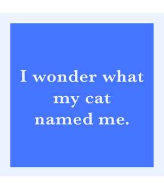 Drinks on Me Coasters Cat Named Me Funny Coaster