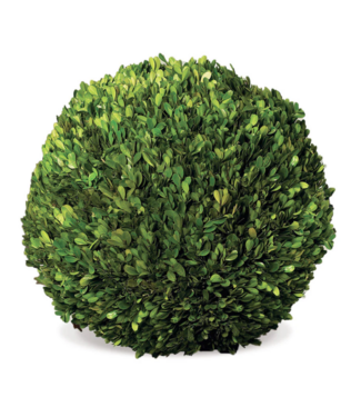 Napa Home & Garden 16'' Boxwood Ball