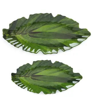 Q Squared Zen 20.5" x 10" Green Large Platter