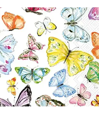 Boston International Multi Color Butterflies Rosanne Beck Guest