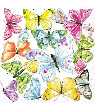Boston International Multi Color Butterflies Rosanne Beck Cocktail