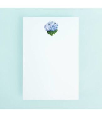 Taylor Paladino Blue Hydrangea Bundle