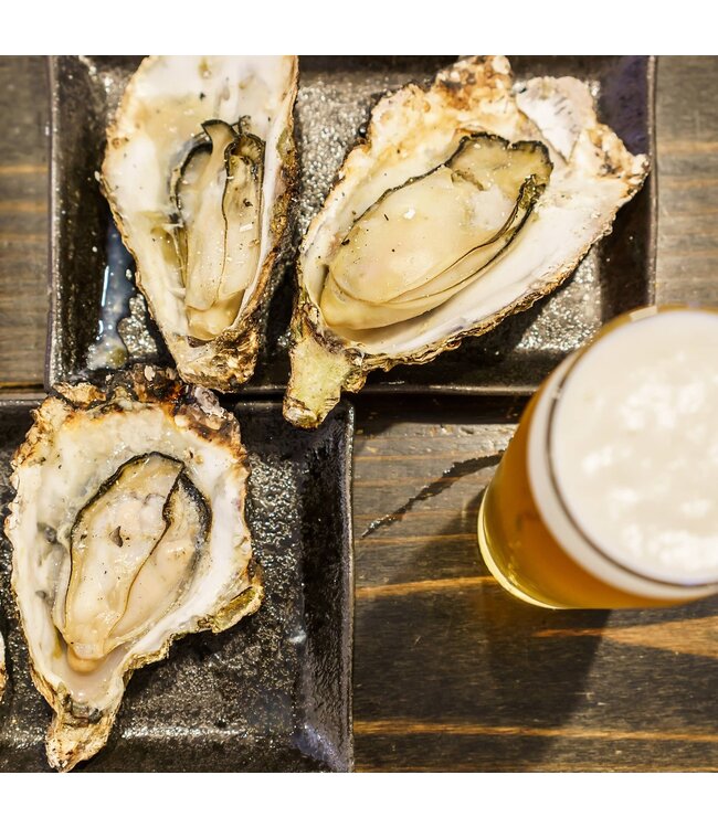 Outset Cast Iron Oyster Grill Pan
