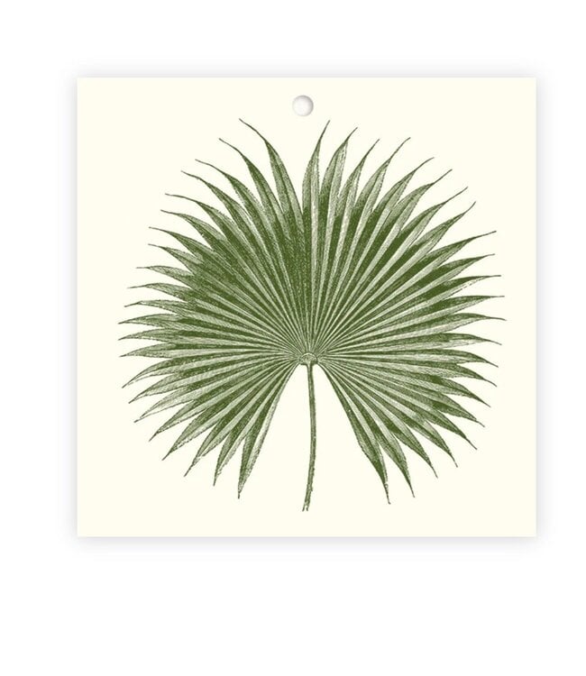 Palm Gift Tags (10 pack)