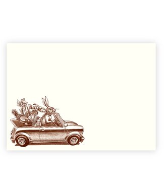 Alexa Pulitzer Rabbit Road Trip A6 Notes (10 pack)