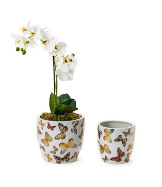 Two's Company Butterfly Garden Planter with Golden Accents - L