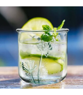 Couronne Co. Classico Flora Tumbler - 10 Oz S/2