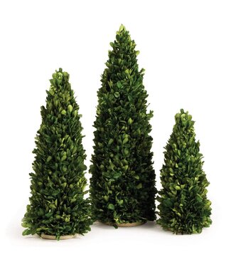Napa Home & Garden Boxwood Mini Trees, Set Of 3