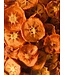 Dried Persimmon Slices - Organic