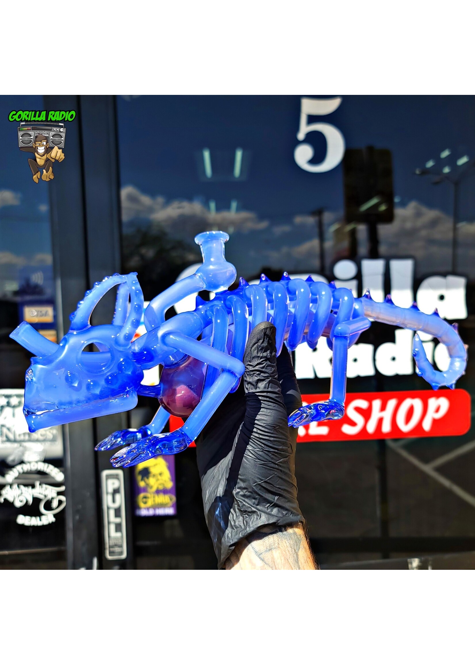 Hardman Skeleton Chameleon