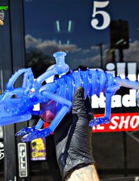 Hardman Skeleton Chameleon