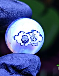 Rocko Marbles