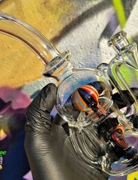 Tubesock Glass Hustle Brain Bubs