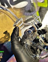 Tubesock Glass Hustle Brain Bubs