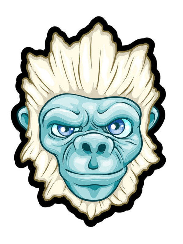 Mood Mat Mood Mats 2023