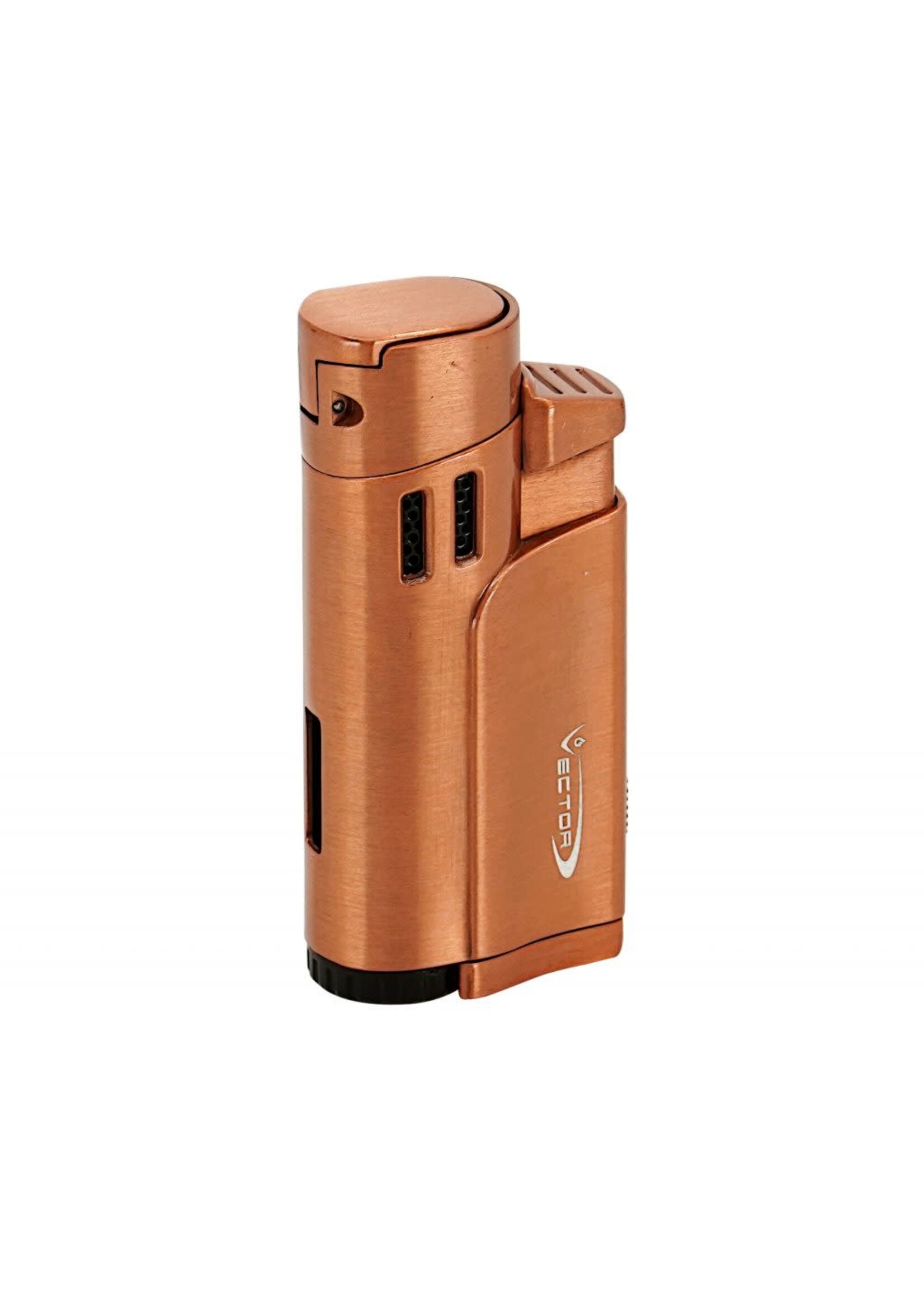 Vector Vector Throne Torch