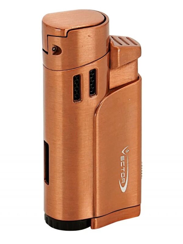 Vector Vector Throne Torch
