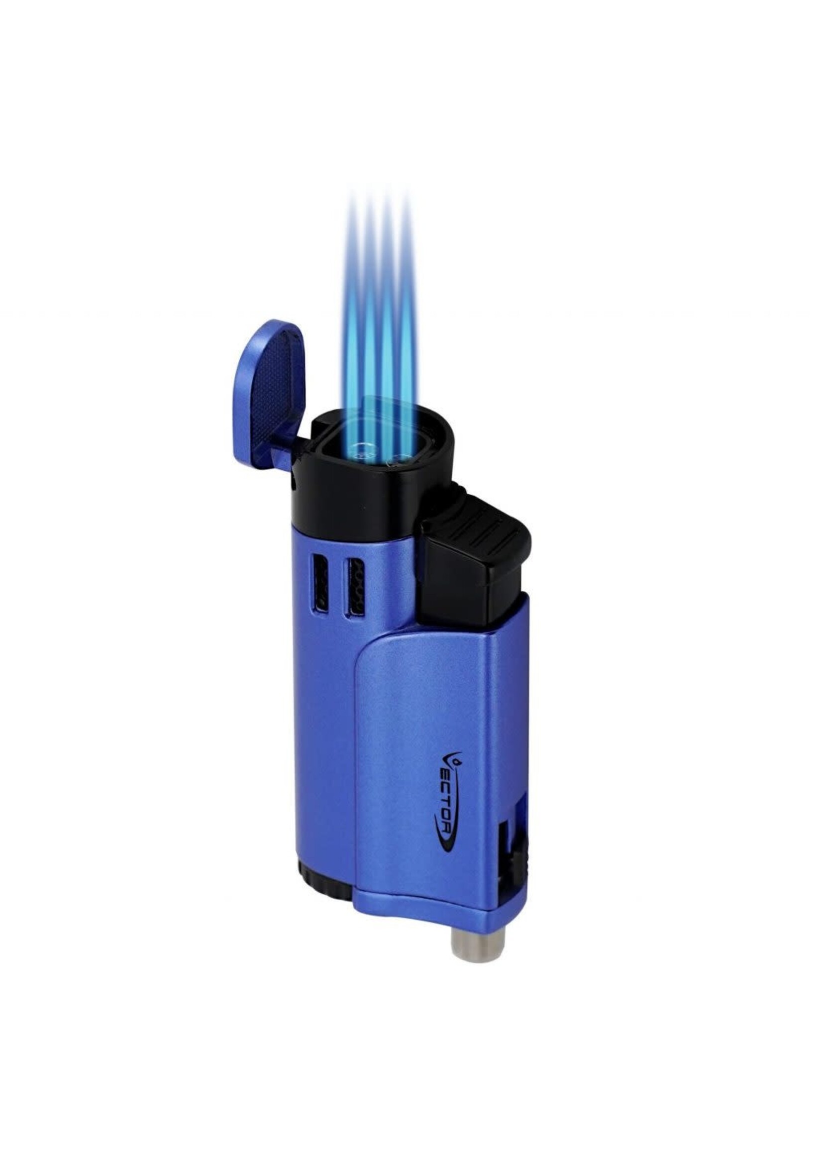 Vector Vector Throne Torch