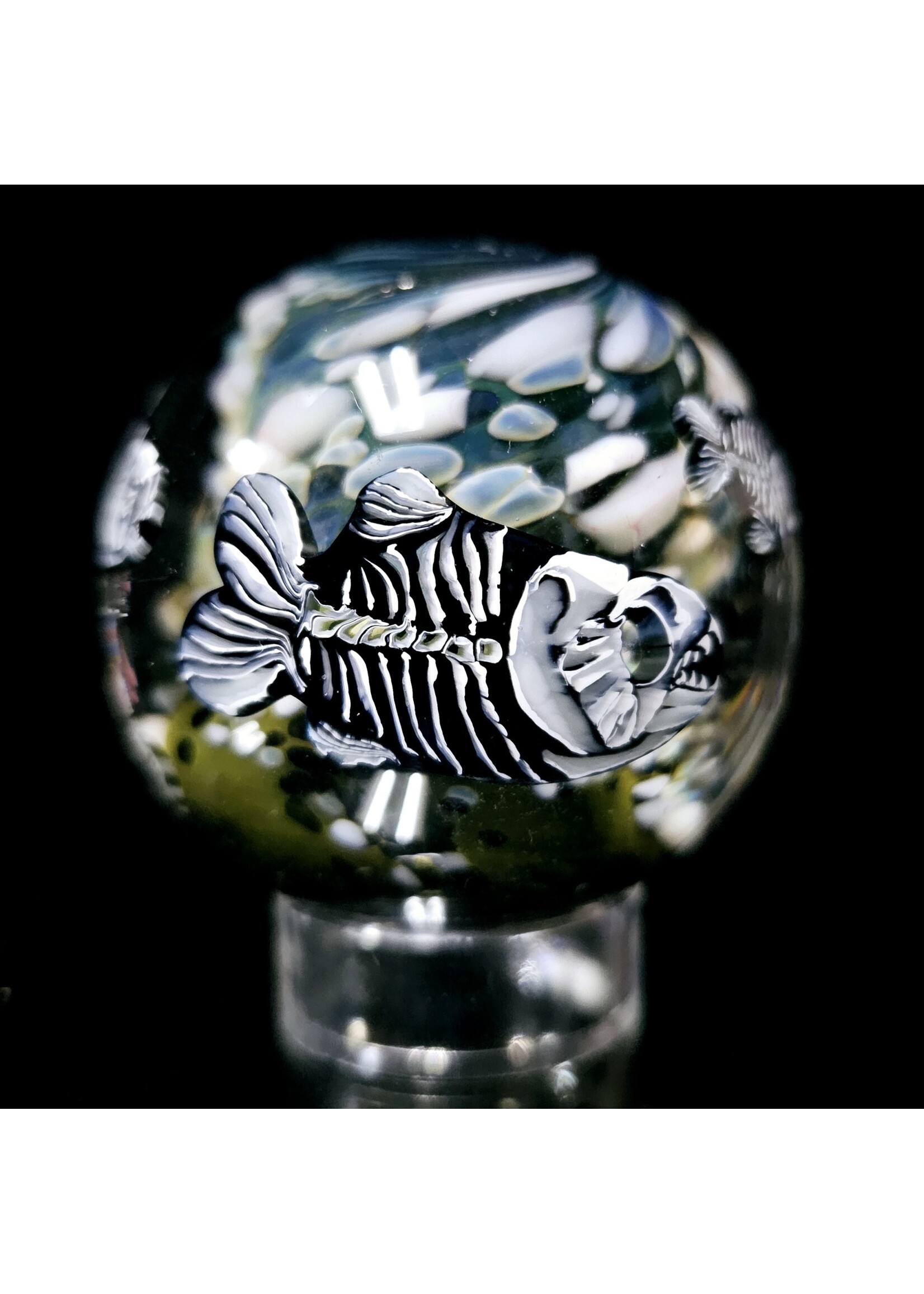 Stephen Boehme Marble