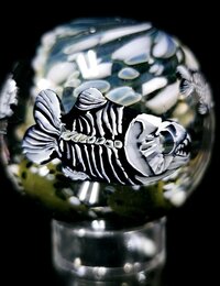 Stephen Boehme Marble