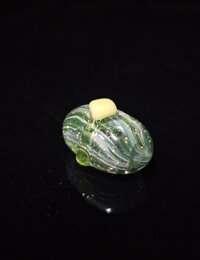 Alecblowsglass x Acadian