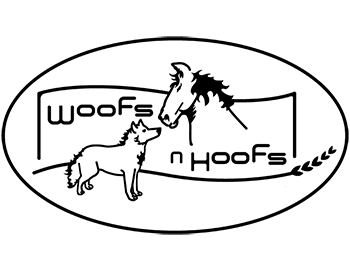 Woofs N Hoofs Since 2010 And Offering Food Gear And Pet Supplies Plus Solutions To Health Issues Woofs N Hoofs