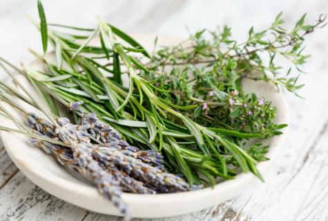 The Zero-Waste Skincare Brand Your Skin Dreams About
