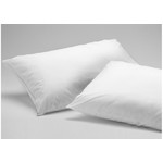 Set Of Two Anti Bed Bug Pillow Protectors