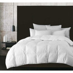 White Down Duvet, Level-2