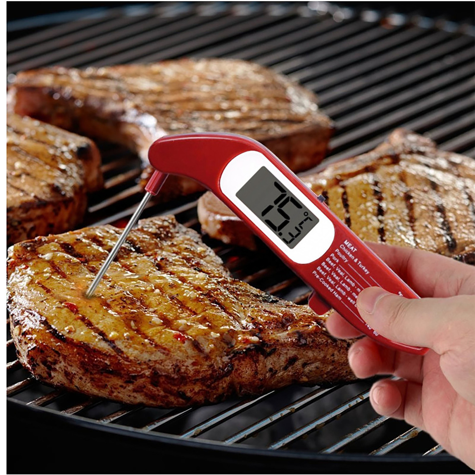 Danesco FOLDING DIGITAL THERMOMETER