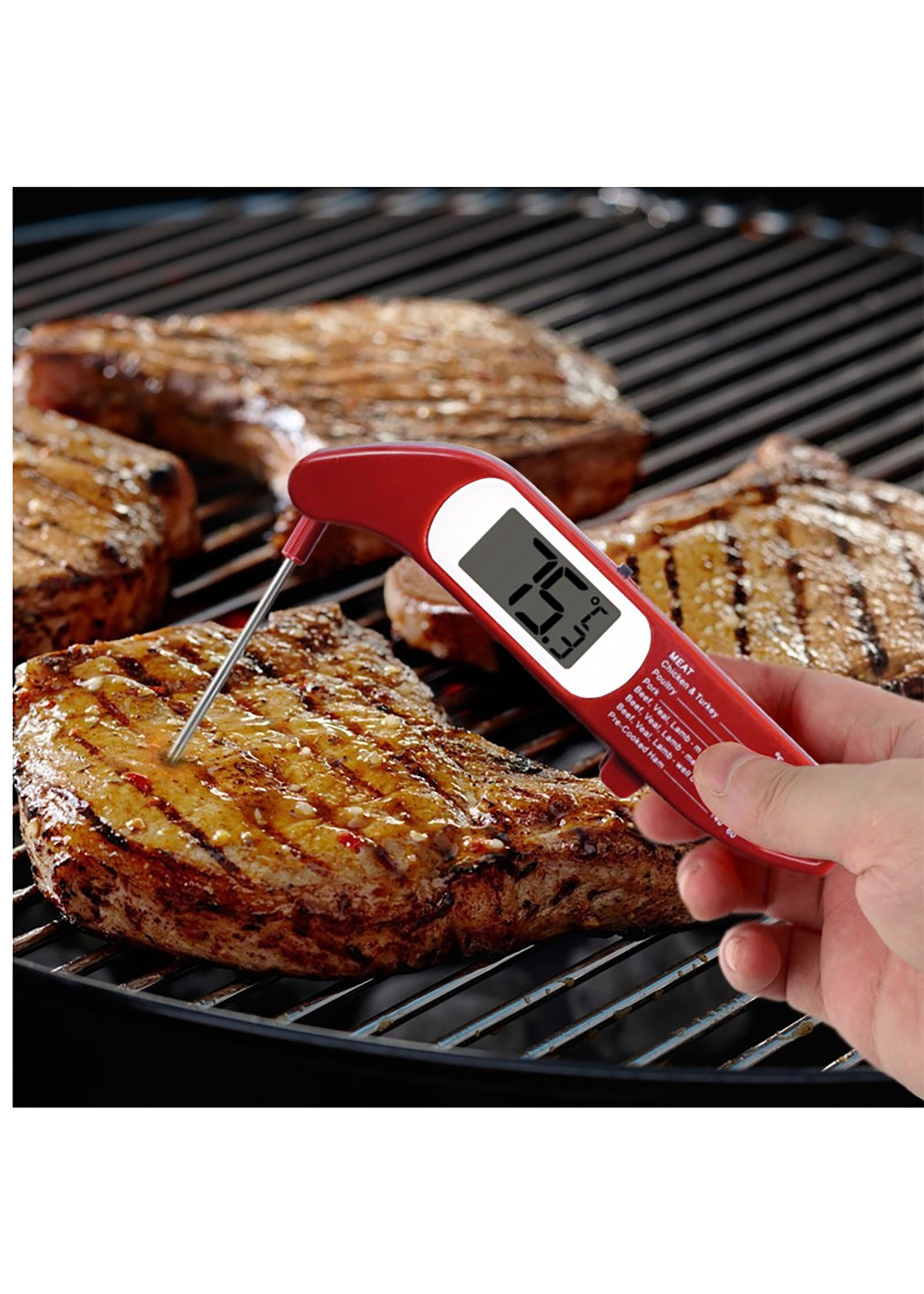 DANESCO FOLDING DIGITAL THERMOMETER