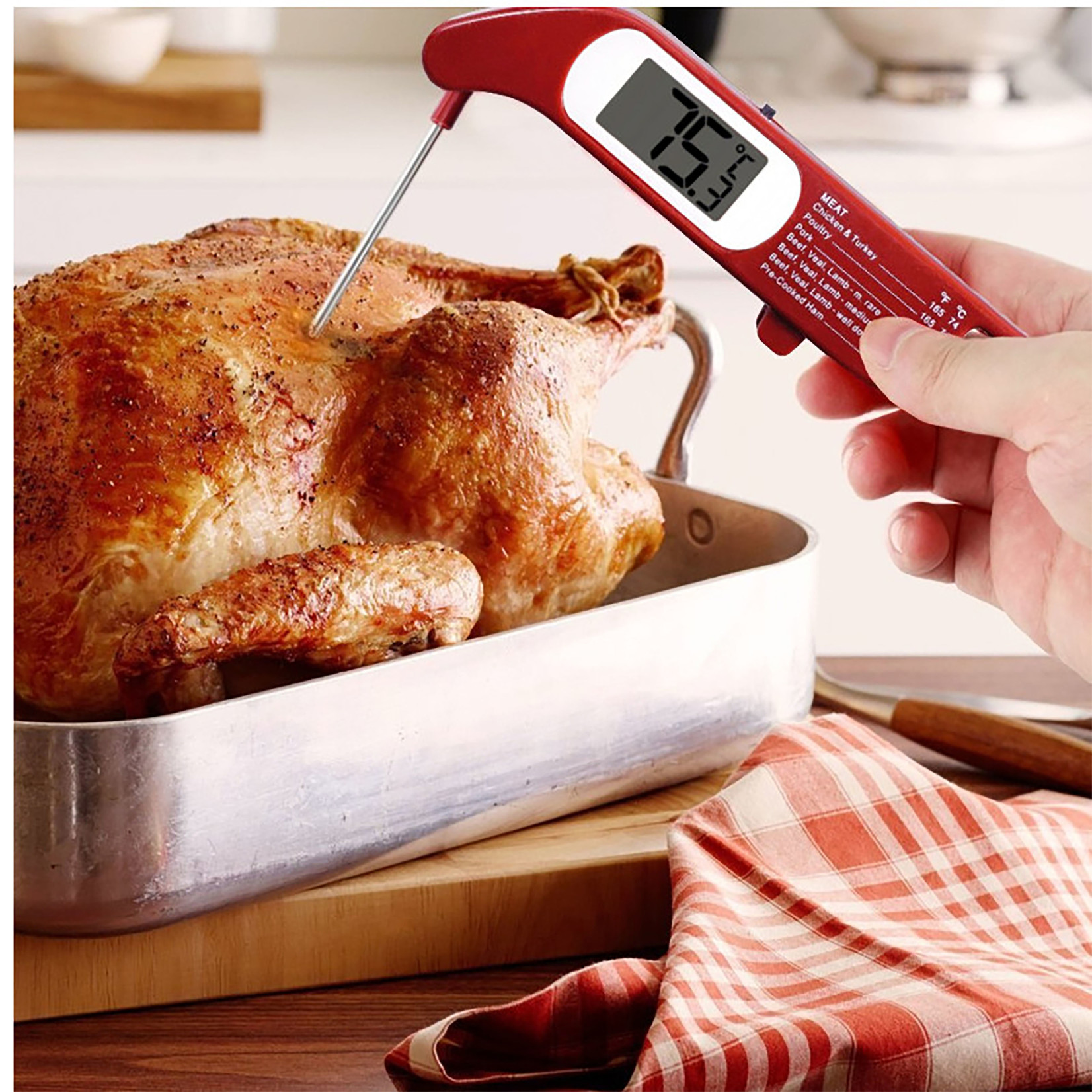 Danesco FOLDING DIGITAL THERMOMETER