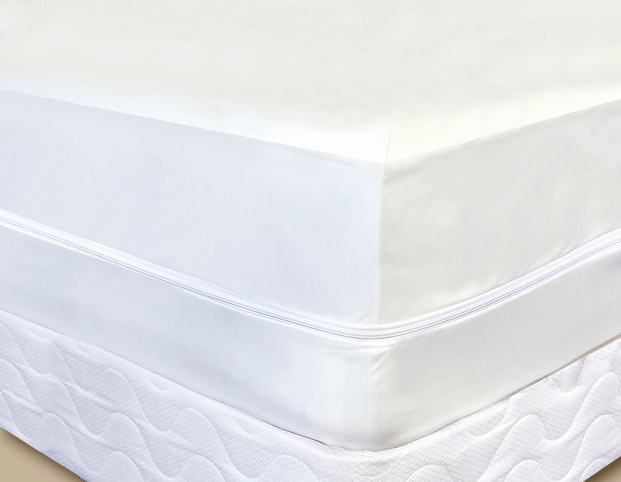 mattress protector for bed bugs