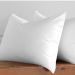 CENTURY Oreiller en Microfibre