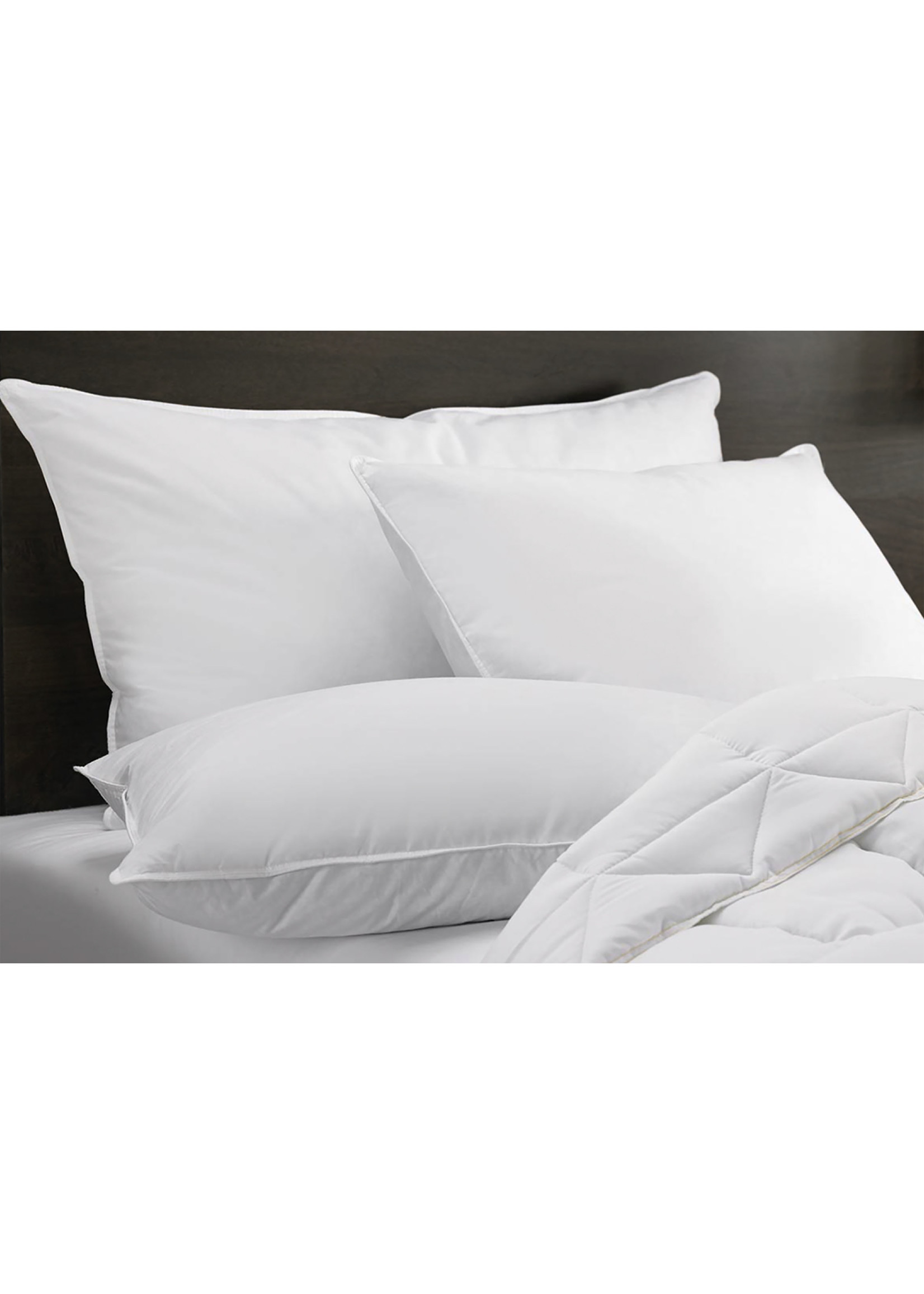 European Hotel Pillow 26x26" - Hotel Collection