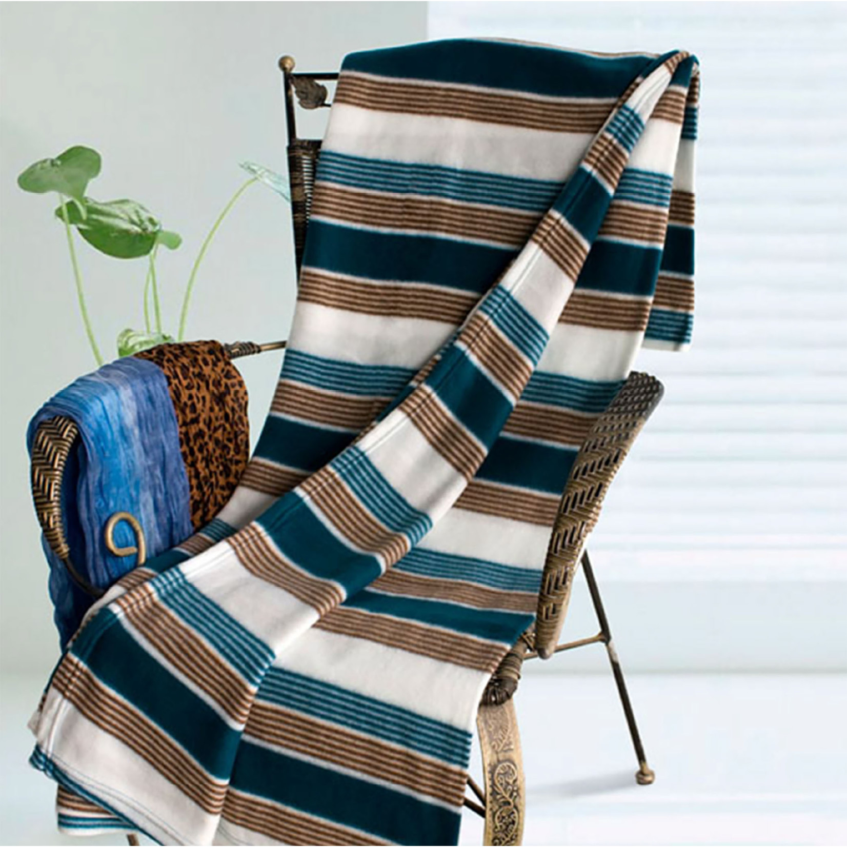 Assorted Throw Polar Fleece 50x60Inch
