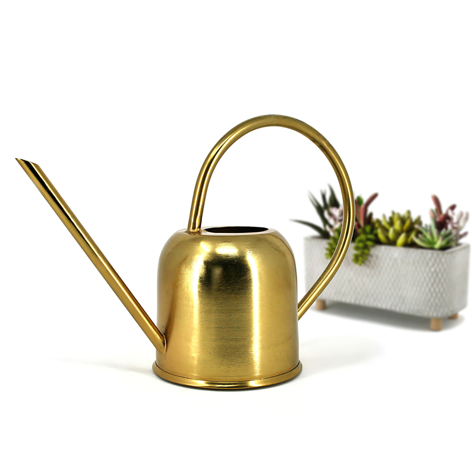 Danesco Watering Can