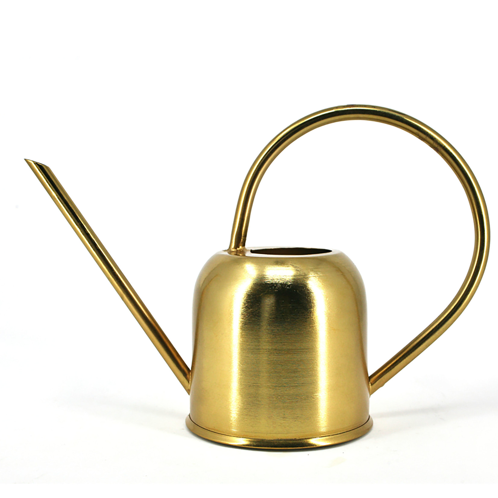 Danesco Watering Can