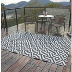 Tapis d'Extérieur Assortis 4x6pi