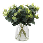DANSON 13'' EUCALYPTUS + VASE VERRE TRANSPARENT