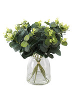 DANSON 13'' EUCALYPTUS + VASE VERRE TRANSPARENT