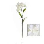 DANSON 26" HYDRANGEA STEM