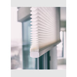 Cellular Cordless Blinds, Blackout