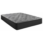 Matelas Mirabel Flora Firm Rolled Mattress