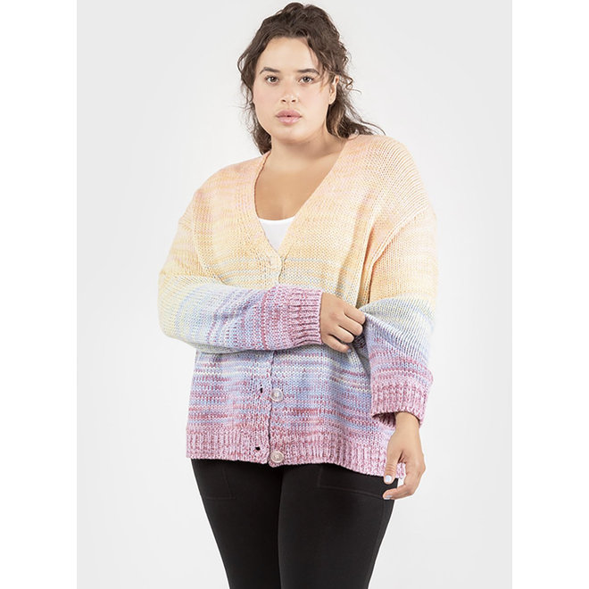 Dex plus Rainbow Cardigan Sweater - The Leather House